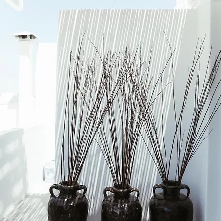 Central Local Living In Mykonos, Main Town Apartment *